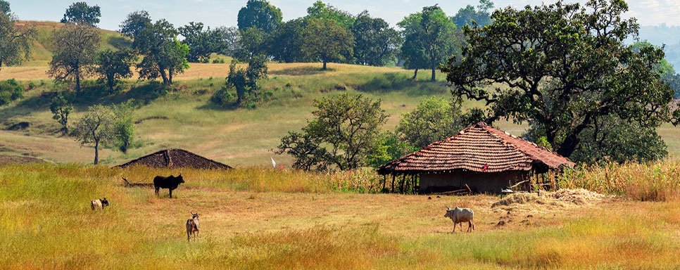 patalkot tour